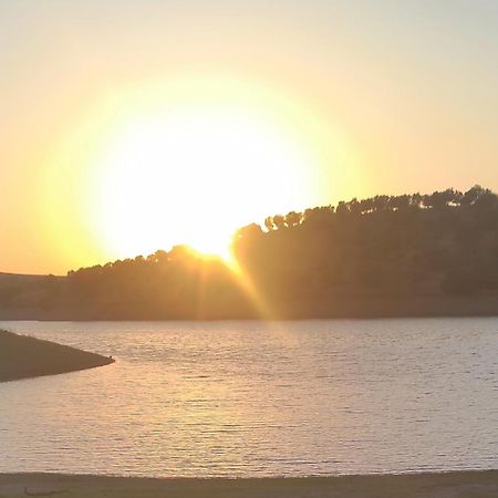 Nova Quinta Moderna Torramo Em Oliveiras, Campo De Laranjas, Na Nacional 2, Alentejo 13750 M2 Villa Torrão Eksteriør bilde