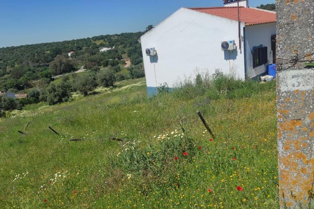Nova Quinta Moderna Torramo Em Oliveiras, Campo De Laranjas, Na Nacional 2, Alentejo 13750 M2 Villa Torrão Eksteriør bilde