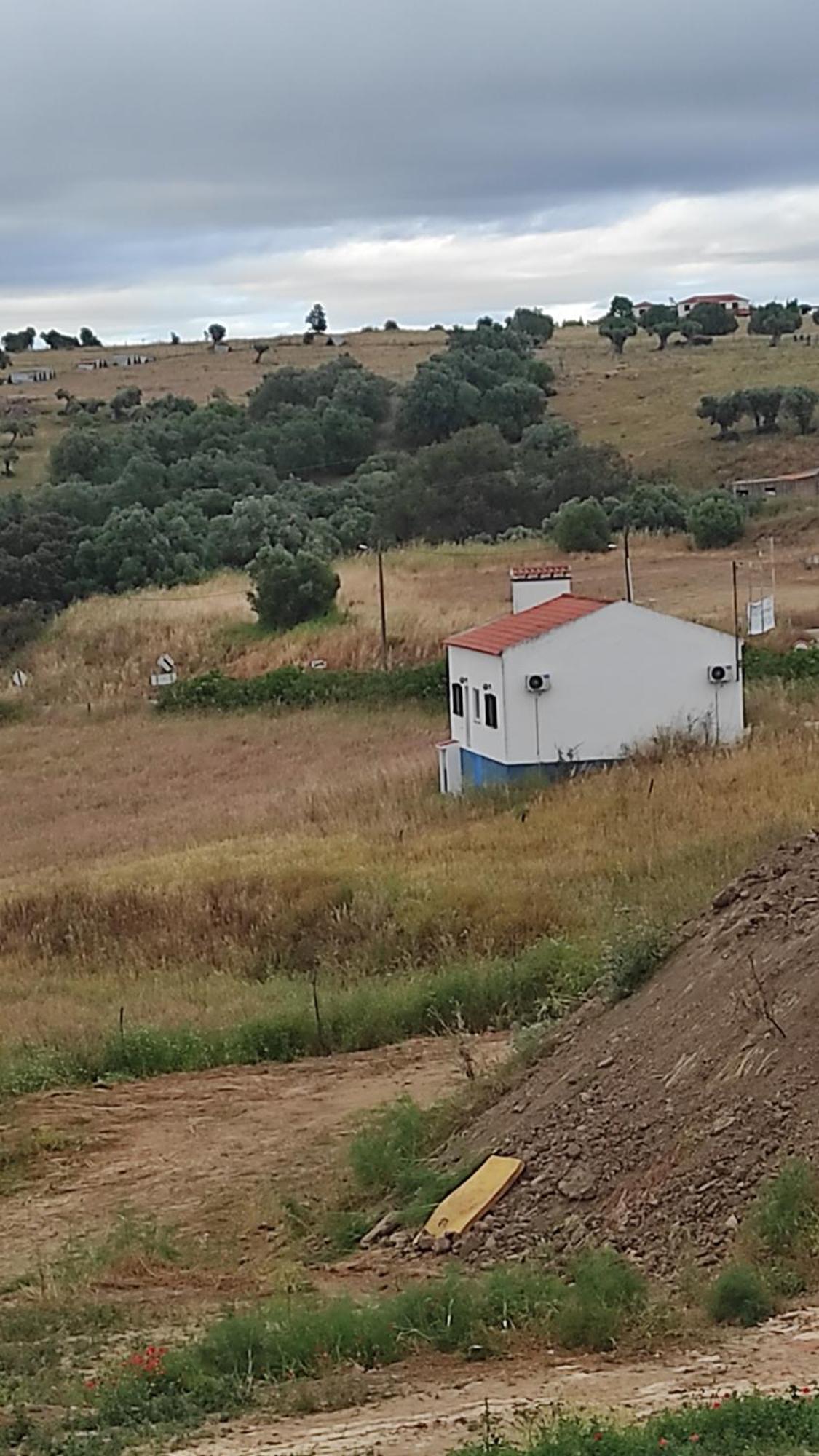 Nova Quinta Moderna Torramo Em Oliveiras, Campo De Laranjas, Na Nacional 2, Alentejo 13750 M2 Villa Torrão Eksteriør bilde