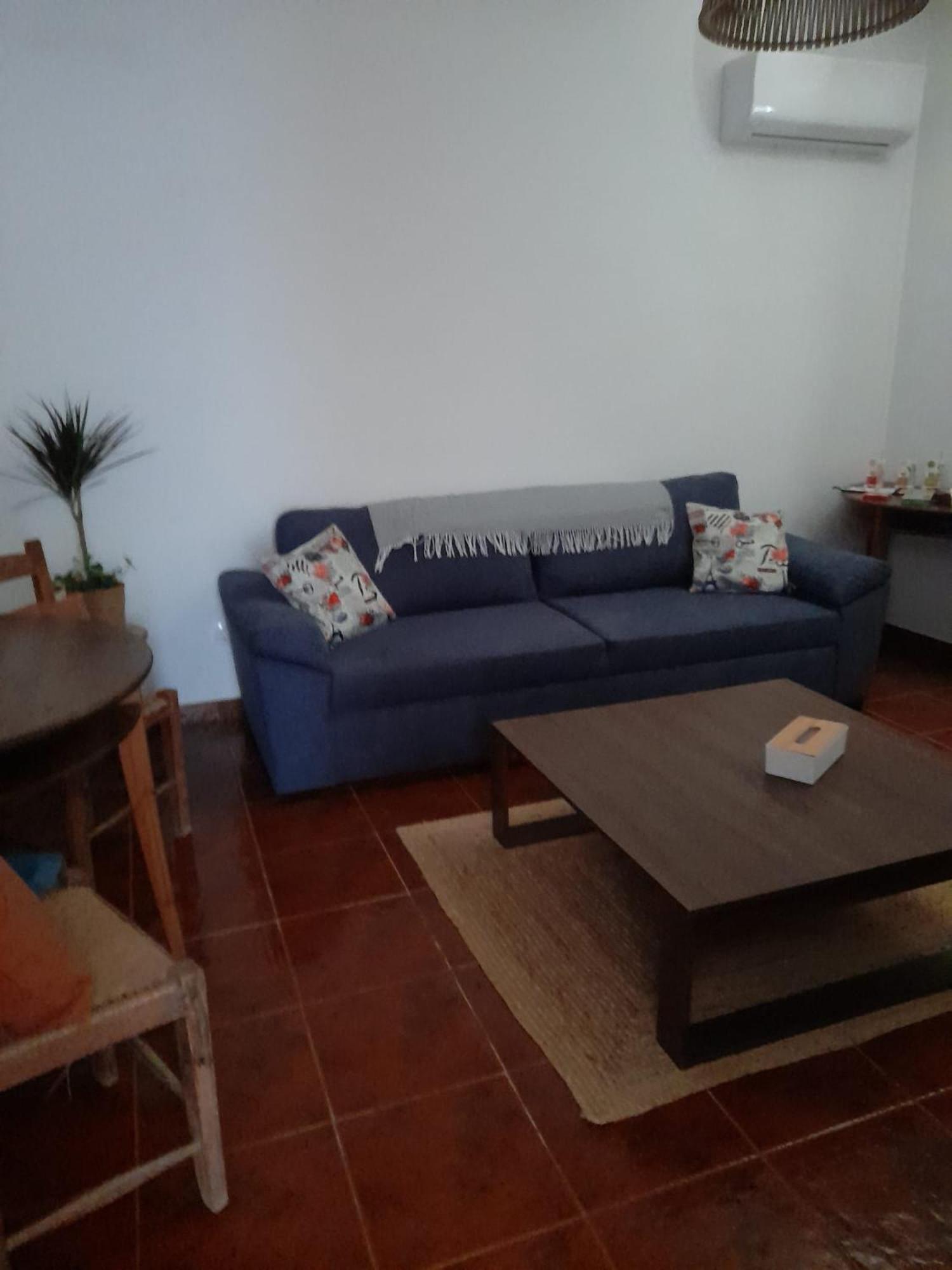 Nova Quinta Moderna Torramo Em Oliveiras, Campo De Laranjas, Na Nacional 2, Alentejo 13750 M2 Villa Torrão Eksteriør bilde