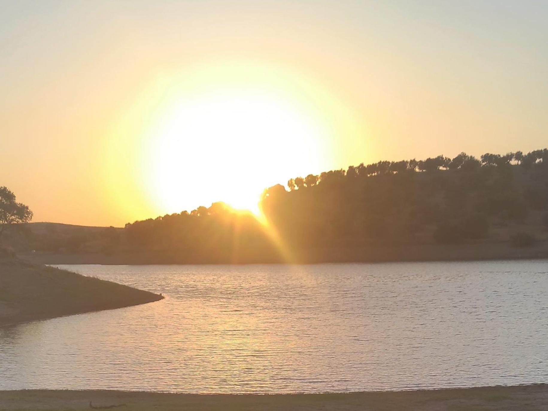 Nova Quinta Moderna Torramo Em Oliveiras, Campo De Laranjas, Na Nacional 2, Alentejo 13750 M2 Villa Torrão Eksteriør bilde